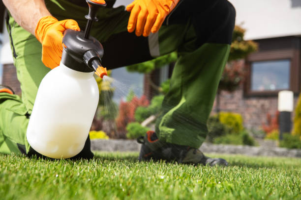 Best Mosquito Control Services  in Sugar Grove, IL